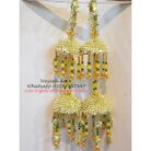 Optimized-kaleera24 a