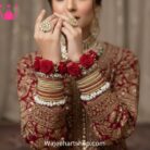 WhatsApp Image9 2026-01-26 at 12.00.42