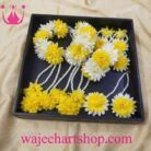 Mayonflower3