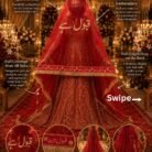 Nikkahveil9